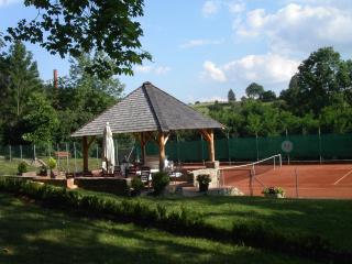 Chateau Radvanov Pension - Mladá Vožice - 2