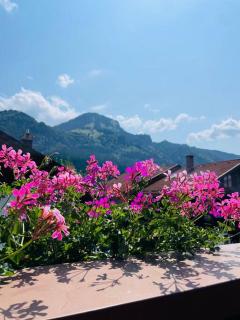 Berge, Wandern, Erholung pur! Fewo Tinka-Haus Katja - Bad Hindelang - 0