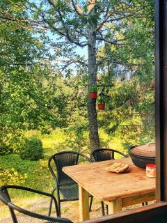 Vikendica Zvezda Danica, Tara - 0