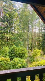 Domek Leśny Reset - 1