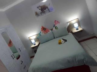 The Success Guest House - Standerton - 3