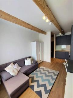 Lovely 1-bedroom condo - Riga - 9