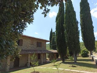 villa I Lecci nel chianti - Pieve a Presciano - 6