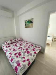 Apartament Oana - Baile Felix - 2