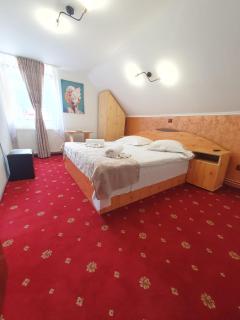 Casa Flavius - Bran - 9