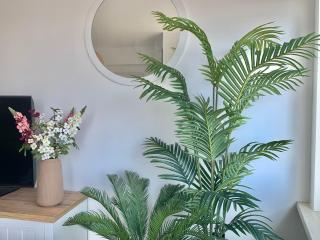 BEACH apartment met directe toegang tot het STRAND ! - 2