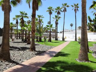 Holiday Vibes in Playa del Inglés - 1