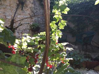 Maison Berrichonne 2 chambres cour et jardin - Saint-Marcel - 5