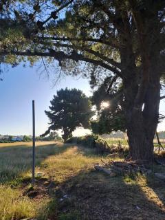 Cabaña Los Pinos - Chonchi - 2