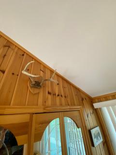 Lovely waterfront private cottage with hot tub in Kawartha Lakes - Head Lake - 7