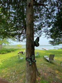 Lovely waterfront private cottage with hot tub in Kawartha Lakes - 3