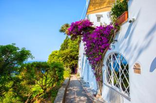 Faraglionensis MonaconeHouse Apartment - Capri - 4
