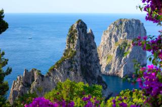 Faraglionensis MonaconeHouse Apartment - Capri - 2