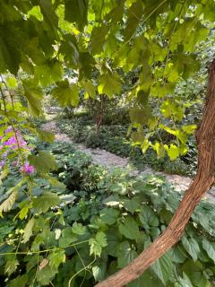 Lovely home - Osh - 4