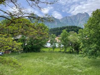 Villa Forrest Bușteni - Buşteni - 9