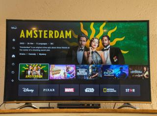 Stay @ Honeytree - 1