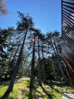 National Park Sauna Retreats - Villa 68 Pines - Kaluđerske Bare - 3