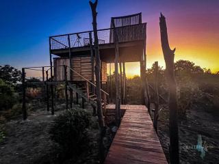Chikunto Safari Lodge - 9
