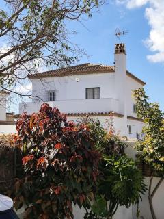 APOLO - Chiclana de la Frontera - 7
