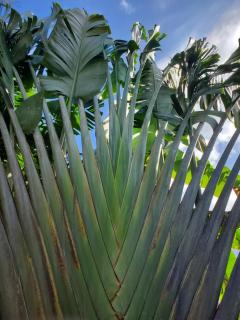 Villa summertime Mirissa - 1