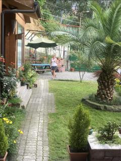 Chalet Ochos Qokhi - Kvariati - 9