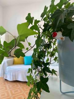 Appartamento in pieno centro - 500 metri dal mare. - Viareggio - 2