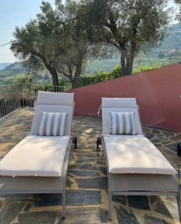 Outeiro Douro House - 3