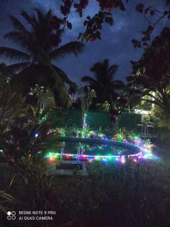 Villa Nemo - Wayikkal - 5