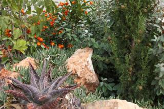 Grande villa neuve avec piscine près mer et Sète - 4