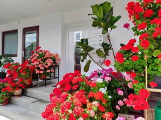 Alpendohle Apartments Innsbruck - 2