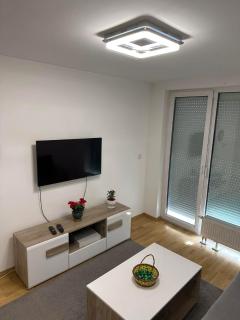 Luxury apartments - Otoka Sarajevo - Sarajevo - 1