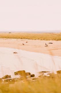 Marine & Lawn Dornoch - 5