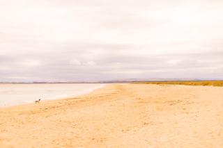 Marine & Lawn Dornoch - 6