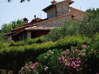 Luxurious Villa in Vasciano Umbria with Private Pool - Vasciano - 3
