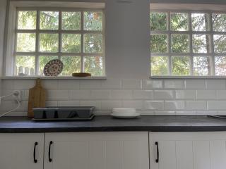 SiwyDomek_pl nad jeziorem Kierwik - 0