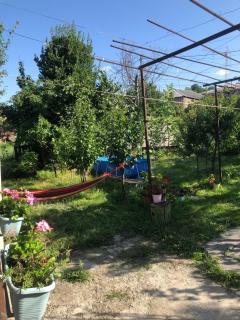 Cozy House - Telavi - 1