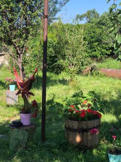 Cozy House - Telavi - 2