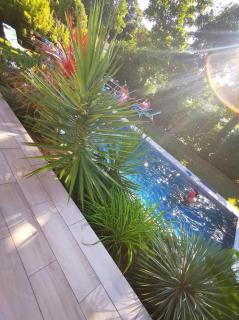 Villa d'Eau Douce - La Mothe-Achard - 6