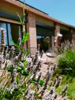 A l Aube du Midi - 8