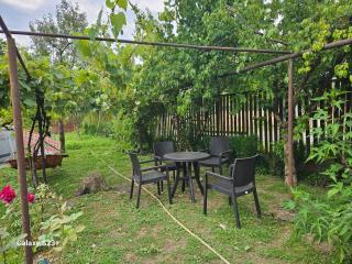 Guest house T/S in Lagodekhi / khizabavra - 8