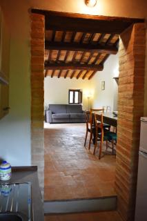 Agriturismo Il Loppo, your Home in the Woods - Spello - 1