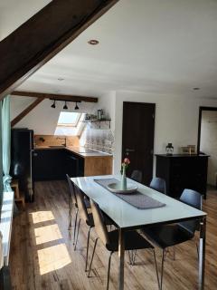 Apartmány Silvestr - Dolní Rychnov - 4