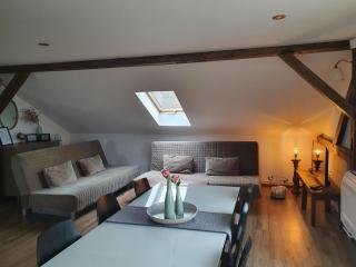 Apartmány Silvestr - Dolní Rychnov - 8