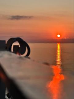 Giglio di mare - Tropea - 9