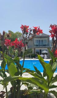 Seaview Villa Fivos with private pool by Lefkadastay - Città di Lefkada - 7