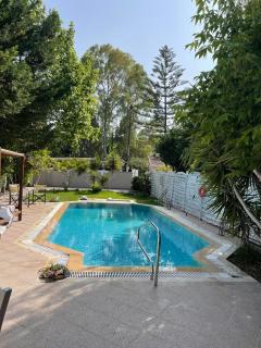 Villa Adonis with private pool by Lefkadastay - Lefkada - 7