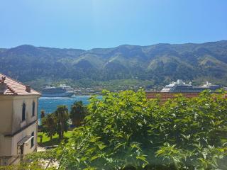 Apartmani F&M - Kotor (Cattaro) - 5