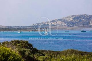 Casa Arborea vista Asinara - Stintino - 8