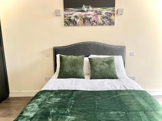 Luxuries 2 Bed Room Flat in Canary Wharf - Londra - 0