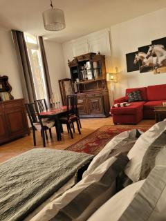Studio Séquoia au pied du Château - Saumur - 1